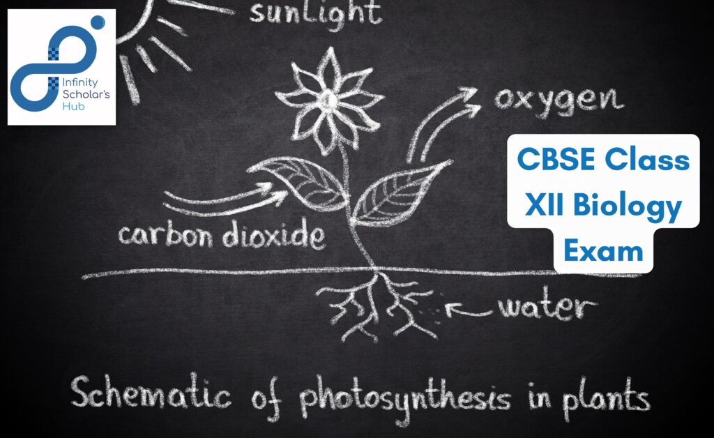 CBSE Class XII Biology Exam