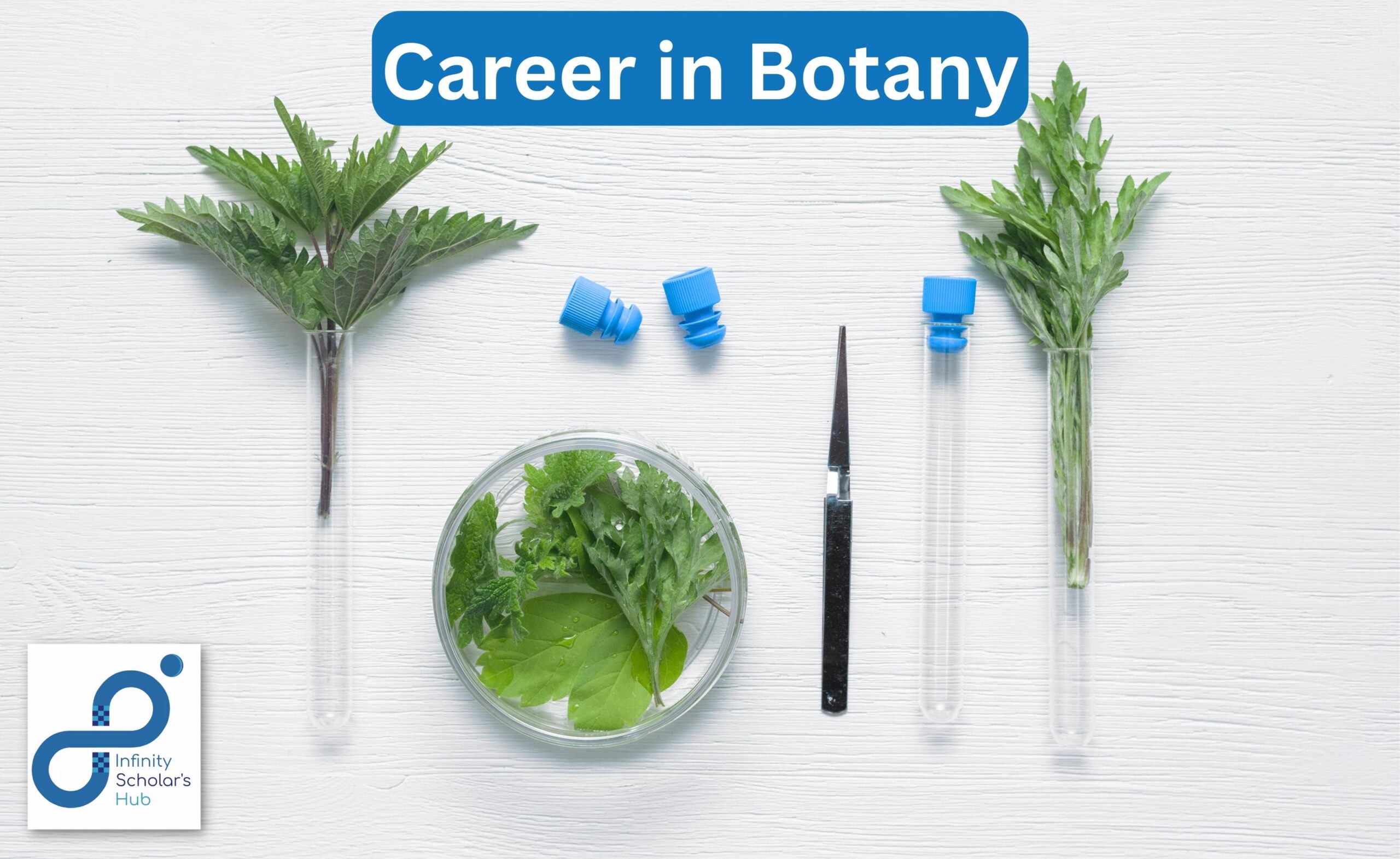 career-in-botany-PCB-12th